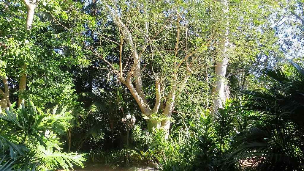 Victoria'S At Ewingsdale Hotel Byron Bay